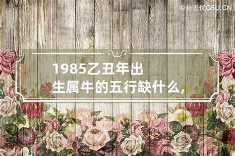 1985年什么命